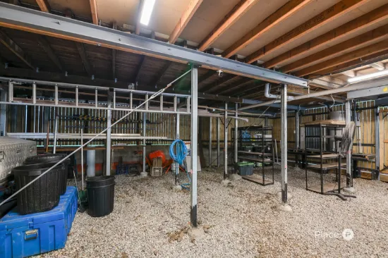 49 Colwel Street, Oxley, Qld 4075-Image