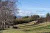 49 Ecclestone Road, Riverside, Tas 7250-Image