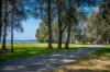 49 Elaine Avenue, Berkeley Vale, NSW 2261-Image
