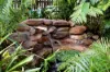 49 First Street, Railway Estate, Qld 4810-Image