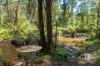 49 Fisherman Drive, Reefton, Vic 3799-Image