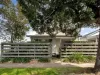 49 Fitzroy Street, Mayfield, NSW 2304
