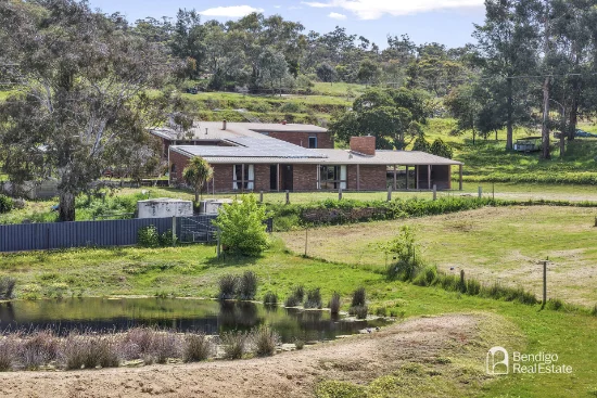 49 Francis Road, Lockwood South, Vic 3551