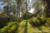 49 Gould Drive, Lemon Tree Passage, NSW 2319-Image
