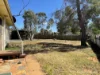 49 Green Street, Cobar, NSW 2835-Image