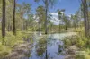 49 Hoad Road, Benaraby, Qld 4680-Image