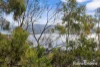 49 Invercargill Road, Mount Nelson, Tas 7007-Image
