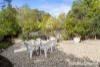 49 Invercargill Road, Mount Nelson, Tas 7007-Image