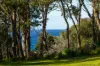 49 Lakeview Avenue, Merimbula, NSW 2548-Image