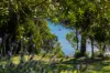 49 Lakeview Avenue, Merimbula, NSW 2548-Image
