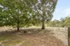 49 Leschenaultia Way, Maida Vale, WA 6057-Image