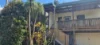 49 Leslie Street, Bangalow, NSW 2479
