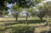 49 Lisadell Road, Medowie, NSW 2318-Image