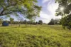 49 Lisadell Road, Medowie, NSW 2318-Image