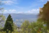49 Lyttleton Street, East Launceston, Tas 7250-Image