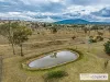 49 McCannas Road, Armidale, NSW 2350-Image