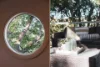 49 Novara Crescent, Como, NSW 2226-Image