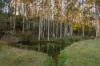 49 Packers Road, Huonville, Tas 7109-Image