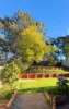 49 Paddy Miller Avenue, Currans Hill, NSW 2567-Image
