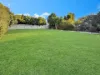 49 Petticoat Lane, Young, NSW 2594-Image