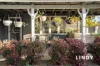 49 Queen Street, Singleton, NSW 2330-Image
