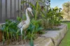 49 Rice Road, Redbank Plains, Qld 4301-Image