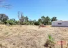 49  Richmond Street, Williams, WA 6391-Image