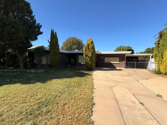 49 River Street, Balranald NSW 2715-Image