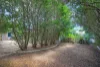 49 Sergison Circuit, Rapid Creek, NT 0810-Image