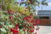 49 Thomas Street, Wynnum, Qld 4178-Image