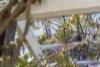 49 Thomas Street, Wynnum, Qld 4178-Image