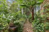49 Wappa Falls Road, Yandina, Qld 4561-Image