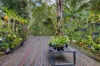 49 Wappa Falls Road, Yandina, Qld 4561-Image