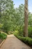 49 Waverley Ridge Road, Crafers West, SA 5152-Image