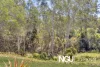 49 Williams Street, Coalfalls, Qld 4305-Image