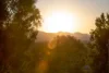 490 Lamport Crescent, West Albury, NSW 2640-Image