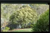 494 Nelson Road, Mount Nelson, Tas 7007-Image