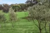 494 Wellington Road, Wistow, SA 5251-Image