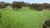 494 Wellington Road, Wistow, SA 5251-Image