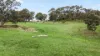 494 Wellington Road, Wistow, SA 5251-Image