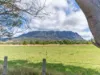 495 Claude Road, Sheffield, Tas 7306-Image
