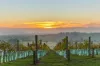 496 Purves Road, Main Ridge, Vic 3928-Image
