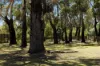 496 Stony Point Road, Crib Point VIC 3919-Image