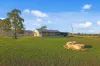 496 Yarrie Lake Road, Narrabri, NSW 2390-Image