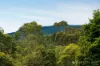 497 Maroondah Highway, Healesville, Vic 3777-Image