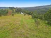 497 Yabbra Road, Bonalbo NSW 2469-Image