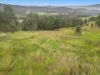 497 Yabbra Road, Bonalbo NSW 2469-Image
