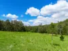 497 Yabbra Road, Bonalbo NSW 2469-Image