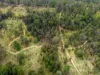 497 Yabbra Road, Bonalbo NSW 2469-Image