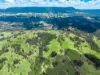 497 Yabbra Road, Bonalbo NSW 2469-Image